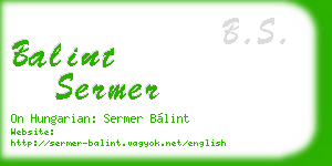 balint sermer business card